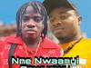 Nonso Ogidi - Nne Nwaanyi Ogwugwu – nonso Ogidi Nwanyi ogwugwu