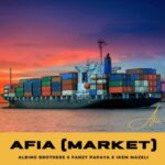 Albino Brothers - Afia (Market) (feat. Hon Ikem Mazeli) – Albino Brothers afia