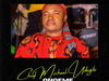 Chief Michael Udegbi - Onoeme – Chief Michael Udegbi Onoeme